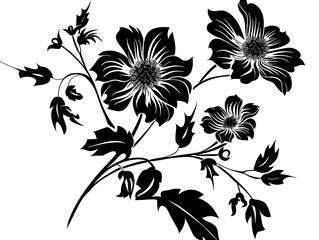 black and white flowers