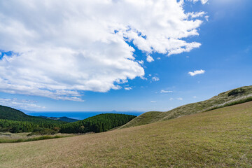 Naklejka premium 稲取細野高原