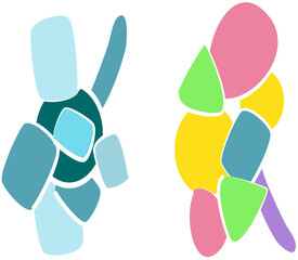 fluid shape illustrations in abstract vectors for graphic elements