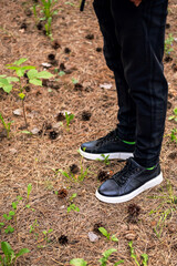 Cropped person in black boots walking in pine forest.