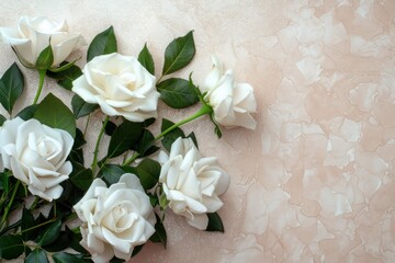 White rose blossoms on a glitter background, elegantly arranged for a stunning top view.