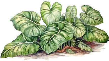 Obraz premium Watercolor illustration of lush green tropical leaves with detailed veins, showcasing the beauty of nature's intricate design.