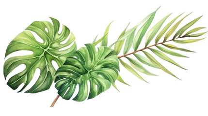 Fototapeta premium Illustration of green tropical leaves, featuring monstera and palm, isolated on white background, perfect for botanical and nature-themed designs.