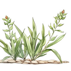 Fototapeta premium Illustration of two green plants with budding flowers growing from a rocky base, highlighting nature's simple beauty.