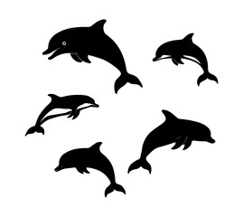 Dolphin vector isolated on white background illustration, sea fish, swimming flipper dolphins