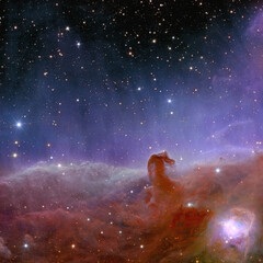 Horse head nebula in constellation Orion.