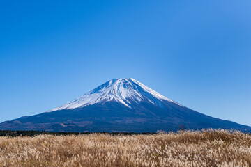 富士山とすすき