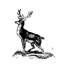 Deer icon