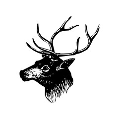 Deer icon