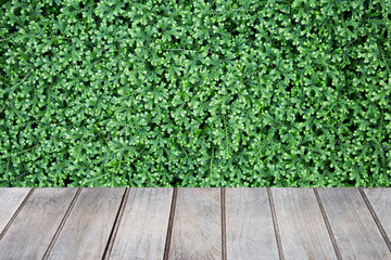 Green leaves with grey wooden floor background, nature background