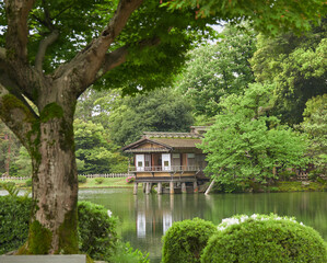 Obraz premium 初夏の新緑の兼六園の内橋亭の風景