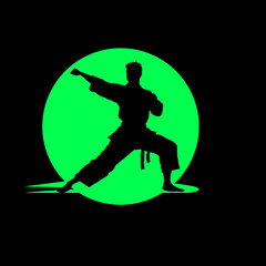 Martial art sports logo