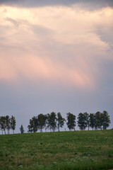 sunset view of the pink grey sky and trees before a thunderstorm