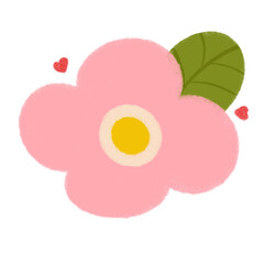 A flower is pink 