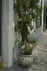 The street scene is diverse.