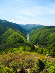 Fototapeta premium 嵐山高雄パークウェイの展望台から眺める保津峡の風景