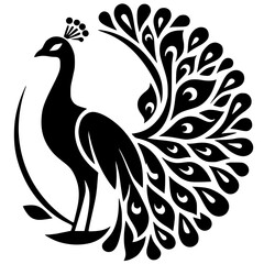 Beautiful peacock silhouette