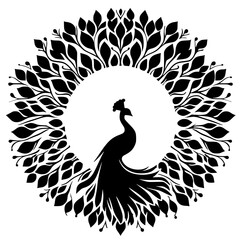 Beautiful peacock silhouette