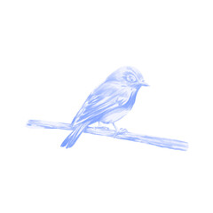 Bird painting illustration logo
