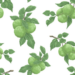 Bergamot pattern for fabric and textile print