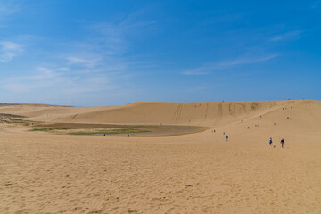 日本の鳥取県にある巨大な砂丘の風景