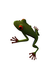 frog