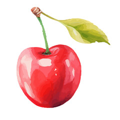 Hand-Painted Watercolor Cherry Fruit Clipart | High-Quality Cherry Illustrations for Invitations, Packaging, Branding & Home Decor