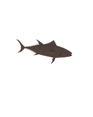 Shark