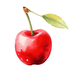 Hand-Painted Watercolor Cherry Fruit Clipart | High-Quality Cherry Illustrations for Invitations, Packaging, Branding & Home Decor