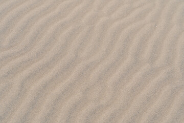 たくさんの観光客が訪れる、日本の鳥取砂丘の風景