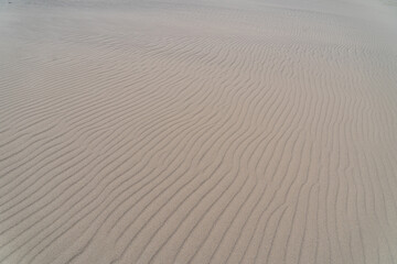 Obraz premium 日本の鳥取県の鳥取砂丘で見られる風紋