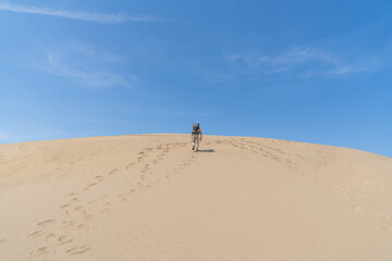日本の鳥取にある砂丘を歩く人