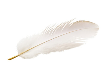 Obraz premium Single white feather isolated on transparent background.