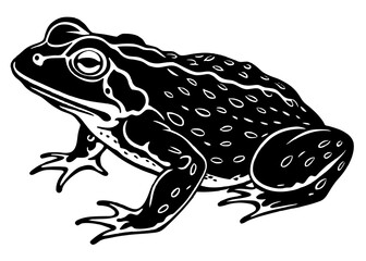 Vector illustration of toad silhouette 