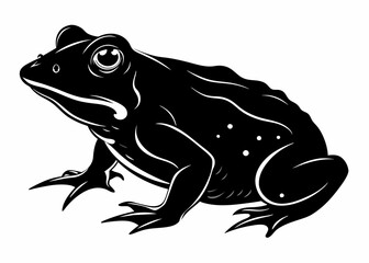 Vector illustration of toad silhouette 