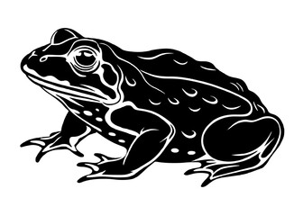 Vector illustration of toad silhouette 