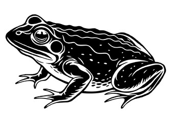 Vector illustration of toad silhouette 