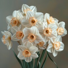 Fototapeta premium Elegant White Daffodil Bouquet in Soft Light - Realistic 8K HD Photography on White Background
