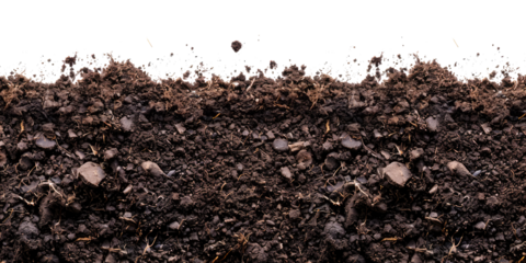 soil background texture border frame isolated on transparent white background, gardening agriculture rural soil material type closeup	