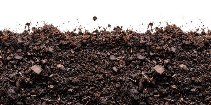 soil background texture border frame isolated on transparent white background, gardening agriculture rural soil material type closeup	