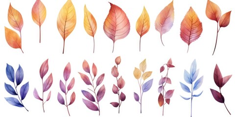 A collection of colorful autumn leaves scattered on a plain white surface