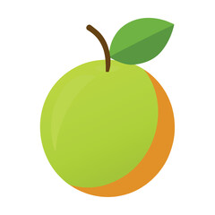 amla fruits vector flat style illustration, solid real color variant, white background