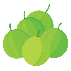 amla fruits vector flat style illustration, solid real color variant, white background