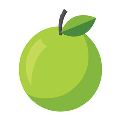 amla fruits vector flat style illustration, solid real color variant, white background