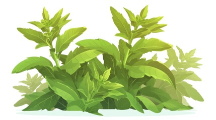 Illustration of a Stevia plant depicted as a sweetener and sugar substitute standing out on a white background portrayed in a charming cartoonish flat style