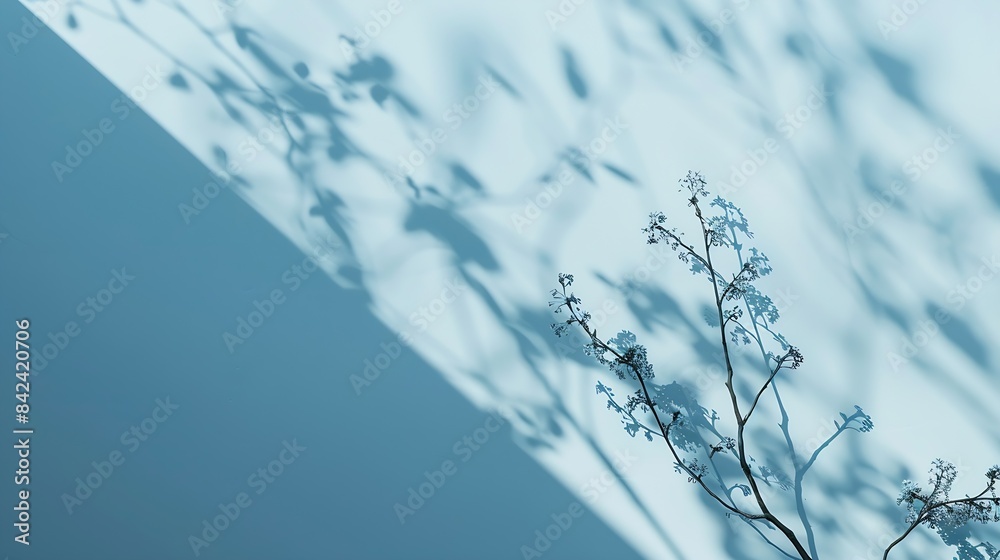 Poster Minimalistic abstract gentle light blue background for product presentation with light and intricate shadow from tree branches on wall : Generative AI