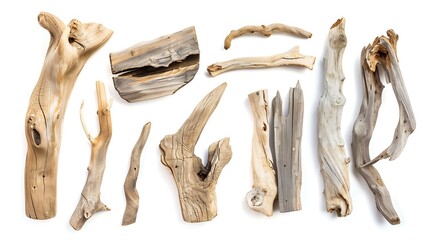 Fototapeta premium Various textured pieces of driftwood on white background Isolated Cutout : Generative AI