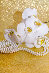 A branch of white orchids on a shiny gold background
