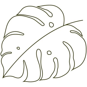 outline monstera leaf drawing clip art preview