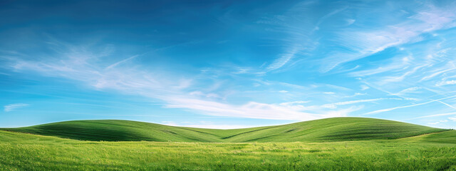 Fototapeta premium Idyllic summer scene with a lush green meadow rolling hills in the distance and a brilliant blue sky